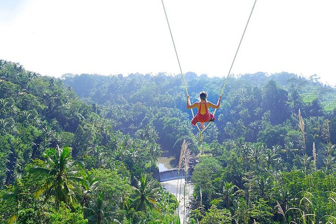 Bali Jungle Swing and White Water Rafting All Inclusive - Key things that make this tour worth your time