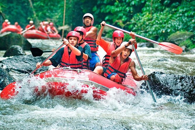 Bali Jungle Swing and White Water Rafting All Inclusive - Bali Pertiwi Rafting on the Ayung: 11 km of rapids with safety first