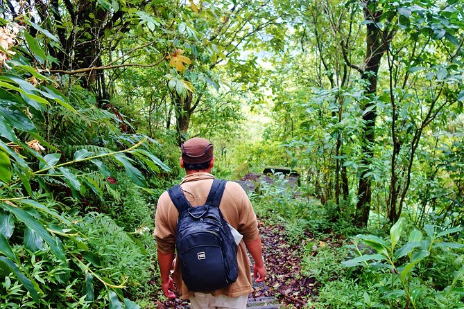 Bali Jungle Trekking in Beautiful Rainforest - The Famous Pass-By Stops: Hills, Waterfall, Gate, Temple, Botanical Garden