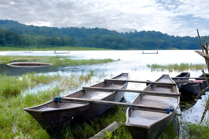 Bali Jungle Trekking in Beautiful Rainforest - Price and Value at $80: What You’re Really Paying For