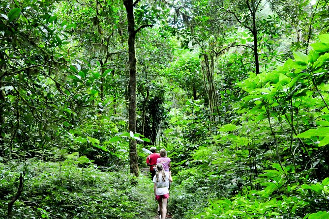 Bali Jungle Trekking in Beautiful Rainforest - Your Private Guide: Staying on Track Without Stress
