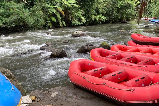 Bali Jungle White Water Rafting Adventure - Jungle Waterfalls, Hindu Shrines, and Wildlife You Might Spot