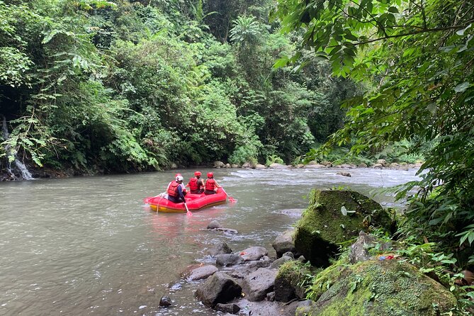 Bali Jungle White Water Rafting Adventure - Lunch by the River: Buffet Food and Simple Planning