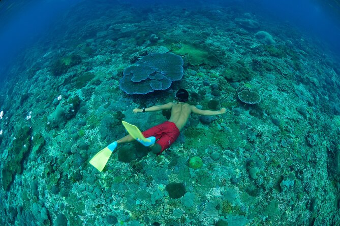 Bali Lembongan Island Beach Club Day Trip - BBQ Lunch by the Sea: What’s Included and What to Expect