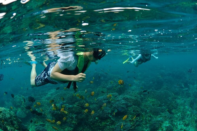 Bali Lembongan Island Beach Club Day Trip - Benoa Harbour: Coffee, Tea, and a Quick Get-Ready Pause