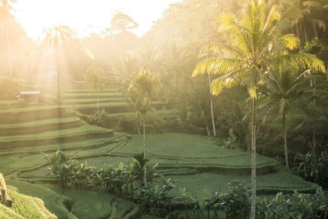 Bali: Lempuyang Temple, Waterfall & Rice Terrace Private Tour - Why the 4:30 am Start Makes Lempuyang Work