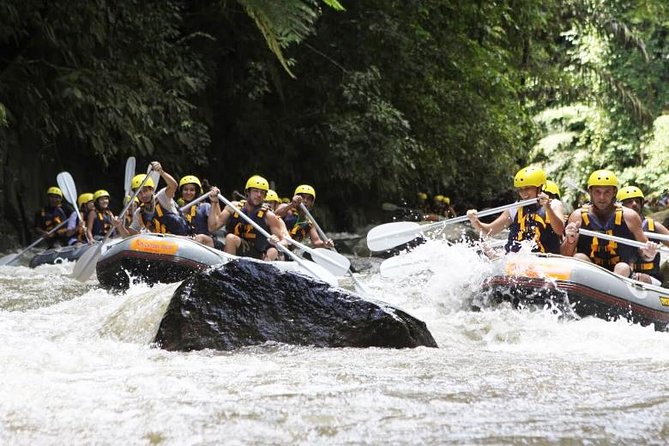 Bali Mason Adventure White Water Rafting - Stop 1: Ayung River Rafting—Scenery, Rapids, and the Pacing