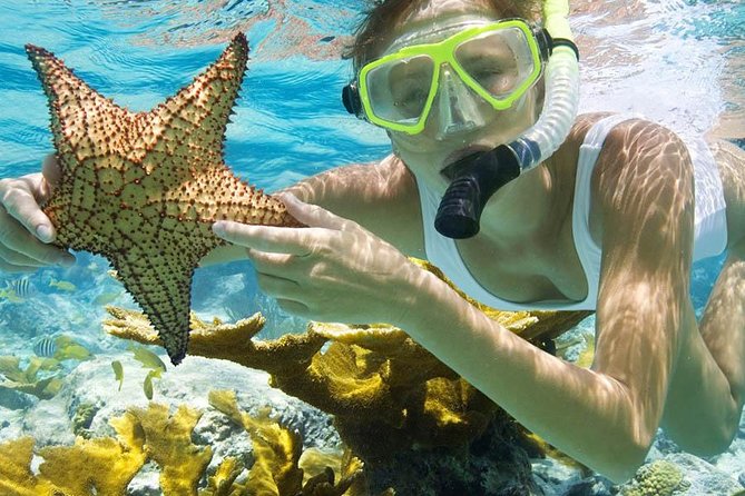 Bali Menjangan Island Snorkeling Day Tour - Stop 1: Kuta Beach Area Timing and What to Expect on the Route