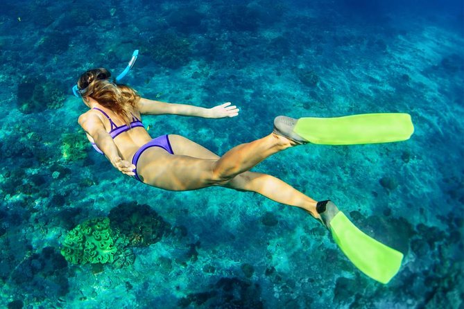 Bali Menjangan Island Snorkeling Day Tour - Menjangan Island Arrival: Gear Time and Settling In