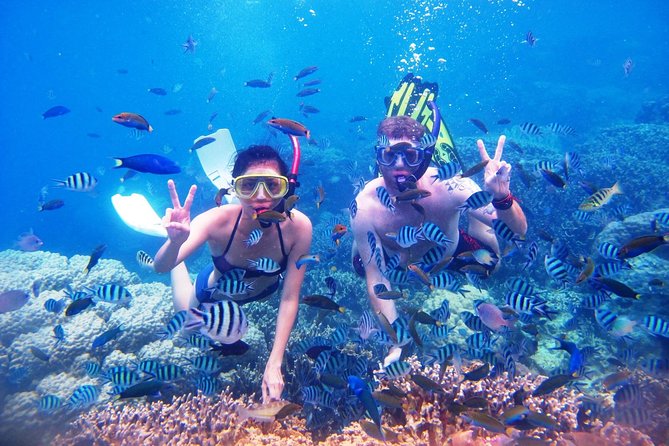 Bali Menjangan Island Snorkeling Day Tour - Lunch Break: A Simple Boxed Meal That Keeps You Moving