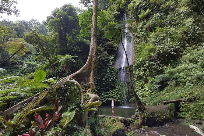 Bali Most Scenic Waterfalls Trekking - Who This Trek Is Best For