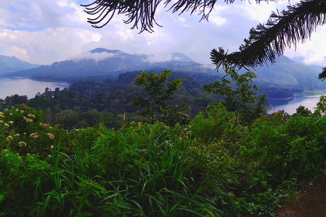 Bali Most Scenic Waterfalls Trekking - Should You Book Bali Most Scenic Waterfalls Trekking?