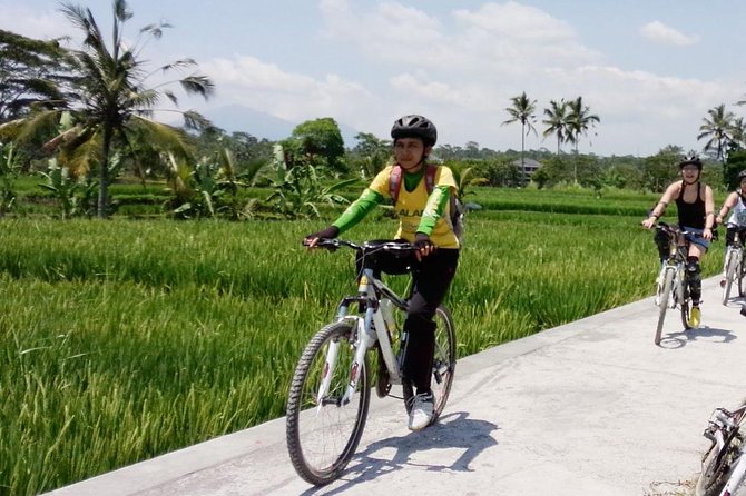 Bali Mountains and Villages Cycling Tour - Key highlights at a glance