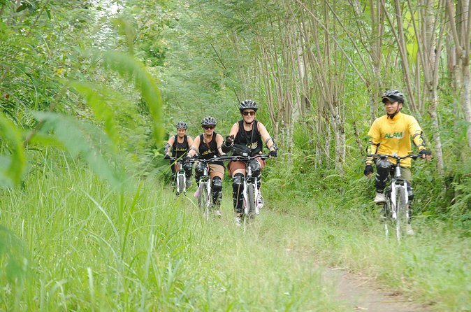 Bali Mountains and Villages Cycling Tour - Why this Bali village bike day beats a quick sightseeing loop