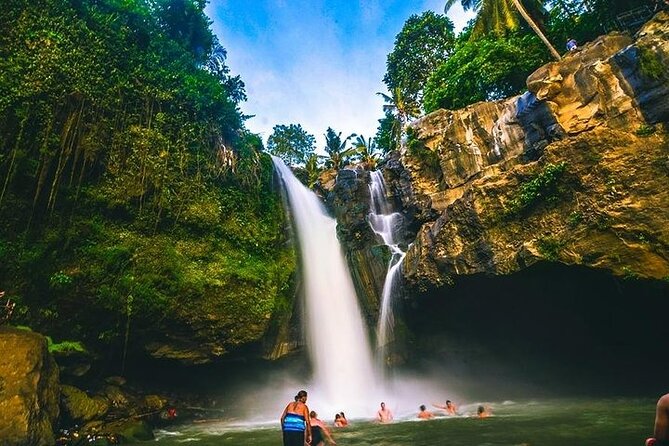 Bali Night Market Experience and Ubud Highlights tour - A Full Ubud Day: Waterfall, Temple, Rice Terraces, Night Market