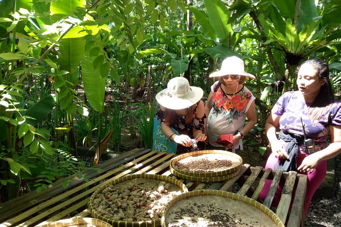 Bali Night Market Experience and Ubud Highlights tour - Price and What You Really Get for $45.50