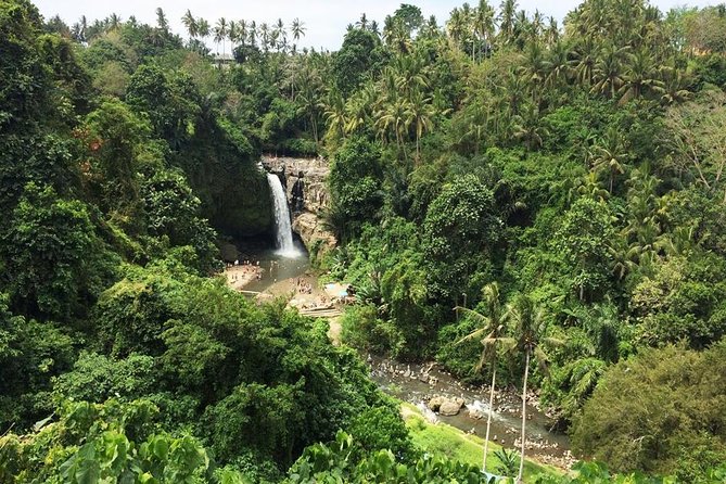 Bali Night Market Experience and Ubud Highlights tour - Timing Tips for an 8 to 10 Hour Day in Ubud