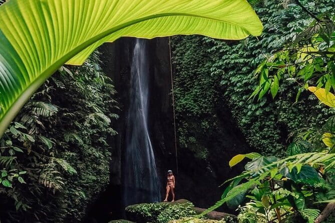 Bali : Northern Bali Private Day Trip with Transfer - Key highlights worth your time