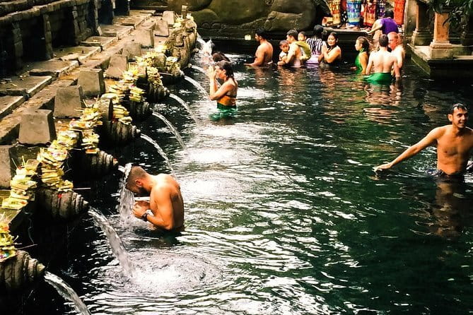 Bali : Northern Bali Private Day Trip with Transfer - Jatiluwih: UNESCO terraces and real irrigation logic