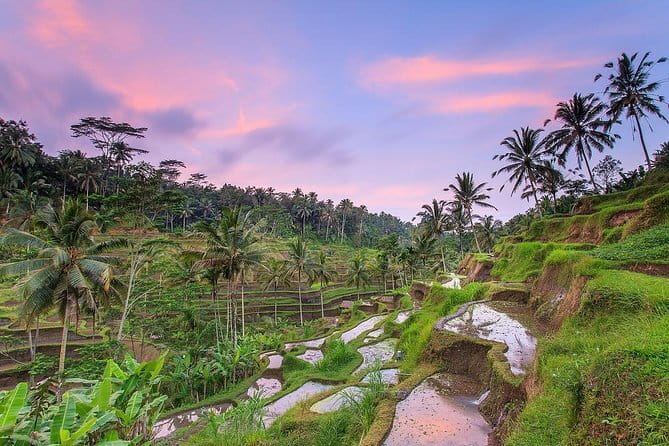 Bali : Northern Bali Private Day Trip with Transfer - Ulun Danu Beratan Temple: the lake-side classic