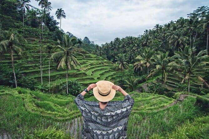 Bali : Northern Bali Private Day Trip with Transfer - Bedugul coffee making: a short culture stop that matters