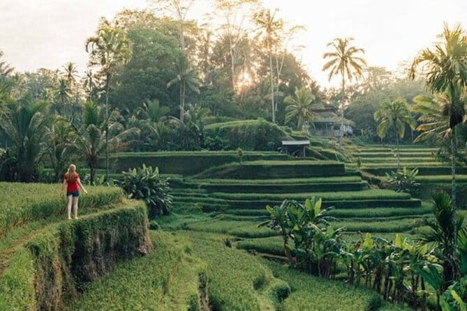 Bali : Northern Bali Private Day Trip with Transfer - Price and value: what you’re really paying for