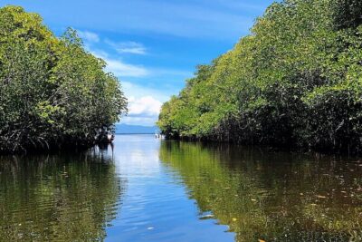 Bali Nusa Lembongan Islands Private Tour - All Inclusive - Private car on the island: how the day stays easy