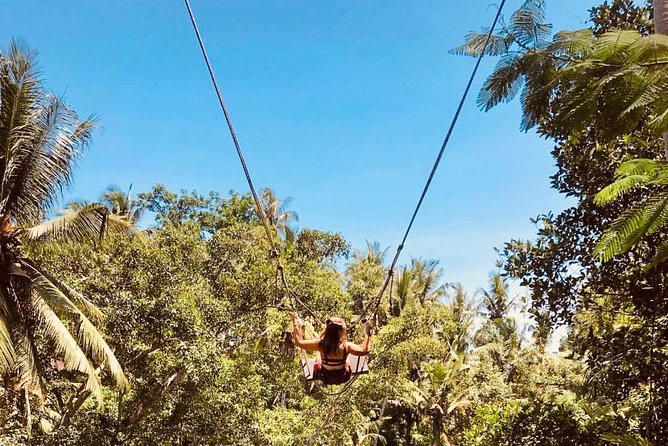 Bali: Nusa Lembongan Snorkeling-Island Tour Daytrip-All Inclusive - Mangrove Point on a boat: watching the forest from water level