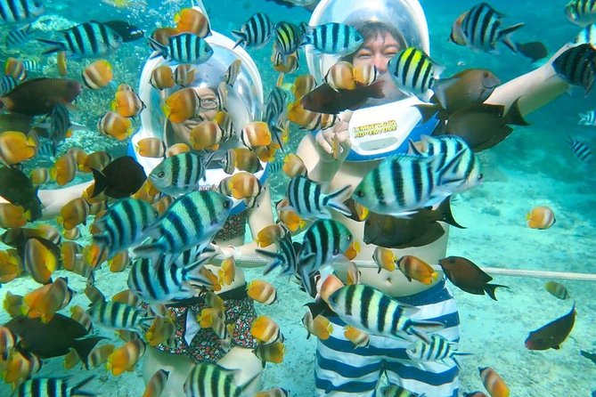 Bali Ocean Walker - Worth Knowing Before You Go