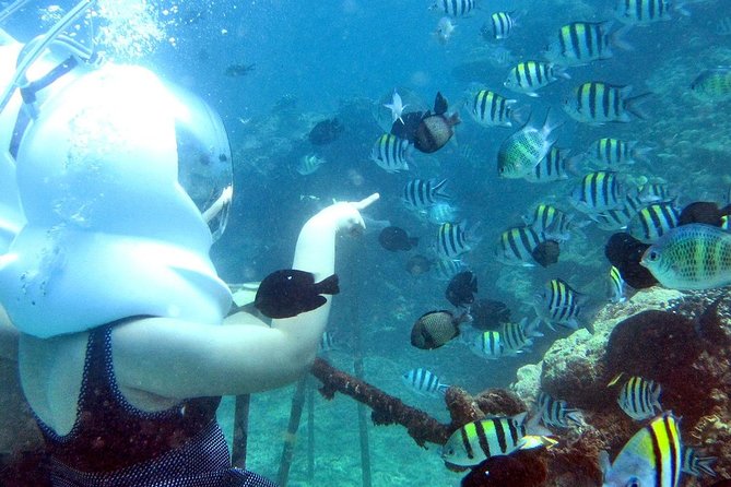 Bali Ocean Walker - Kuta Ocean Walker: How the Oxygen Helmet Experience Really Works
