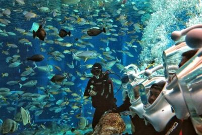 Bali Ocean Walker - Changing Rooms, Showers, and Lockers: The Comfort Factor