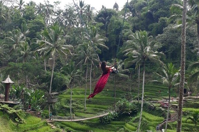 Bali Private 3 Days Tour Package Highlight - Day 1 Views: Kintamani’s Mount Batur Caldera and Hot Springs
