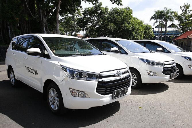 Bali Private Arrival Transfer: From Bali Airport to Bali Hotel - Who should book this Bali airport transfer