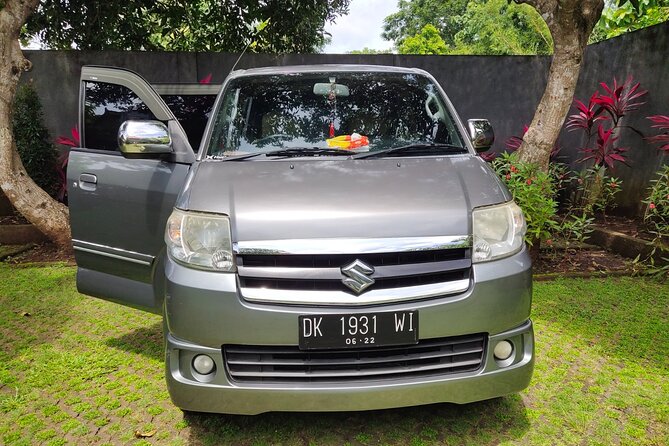 Bali Private Car and Customize Tour With English Speaking Driver - Your day in Bali, stop by stop (and what to watch for)