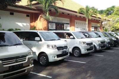 Bali Private Car and Customize Tour With English Speaking Driver - Price and value: $29 per person with the biggest cost twist