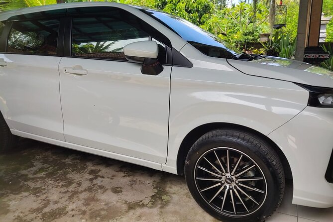 Bali Private Car and Customize Tour With English Speaking Driver - Who should book this private custom car tour