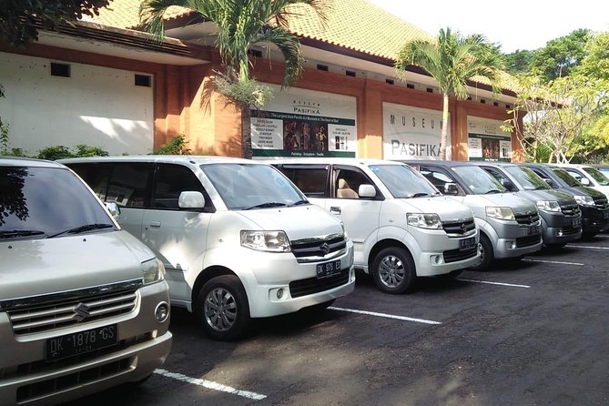 Bali Private Car and Customize Tour With English Speaking Driver - Price and value: $29 per person with the biggest cost twist