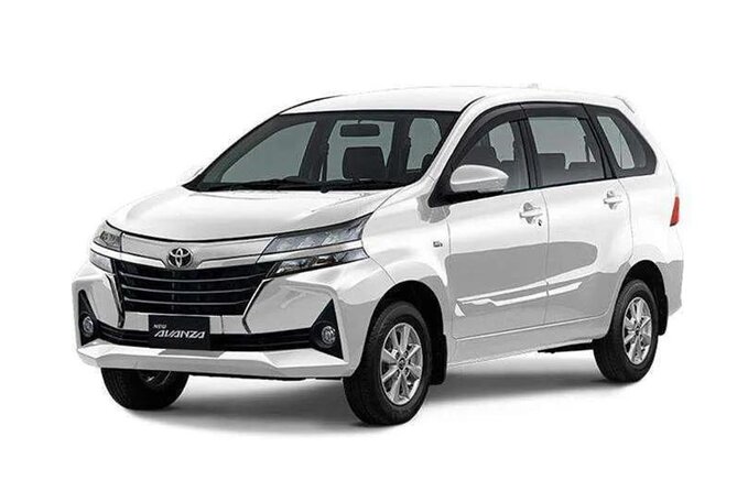 Bali Private Car Charter - Where Your Route Can Go: Denpasar, Ubud/Payangan, Sanur, and Gembling Falls