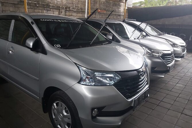 Bali Private Car Charter - Practical Tips for a Smooth Day (Based on How People Use It)