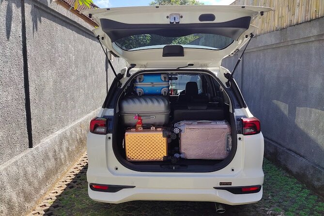 Bali Private Car Charter & Customize Tour With Driver English Speaking-Free WiFi - Why a private driver beats rental chaos in Seminyak and Ubud