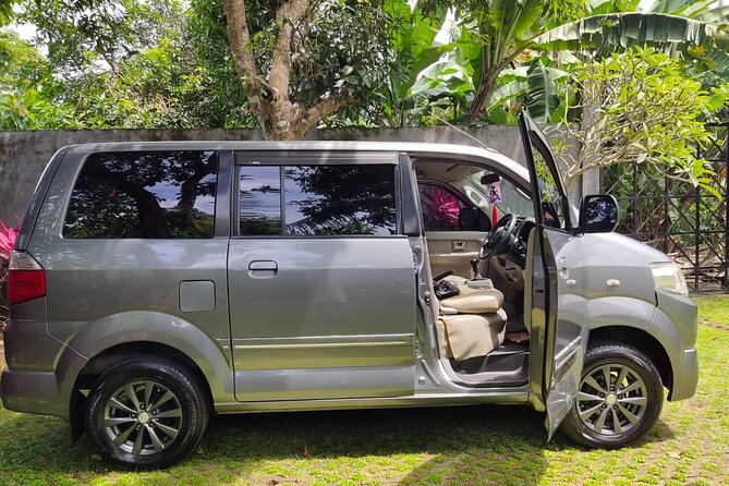 Bali Private Car Charter & Customize Tour With Driver English Speaking-Free WiFi - Stop-by-stop: temples, terraces, swings, monkeys, and a sacred spring