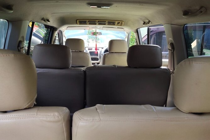 Bali Private Car Charter & Customize Tour With Driver English Speaking-Free WiFi - Ubud craft stops and markets: fun, but keep it practical