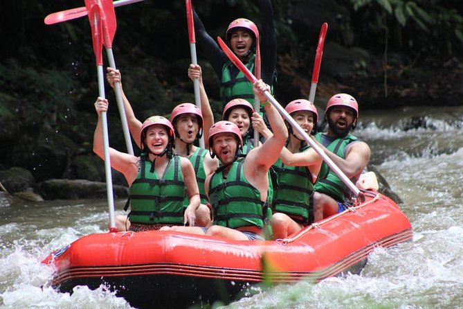 Bali Private Car Charter Tour with English Speaking Driver - 8 vs 10 hours: choosing the right amount of Bali for your day