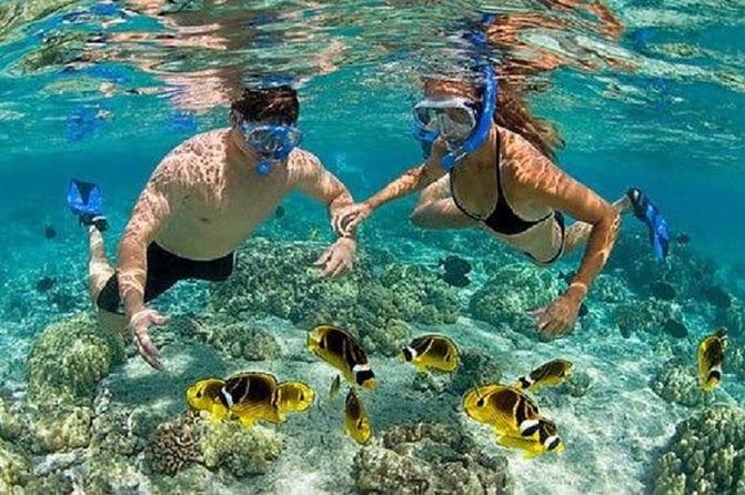 Bali Private Car Charter Tour with English Speaking Driver - Comfort and practical details that actually matter