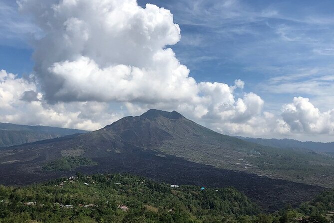 Bali Private Car Charter With English Speaking Driver To Ubud Area - Monkey Forest hour and the Ubud palace/market combo