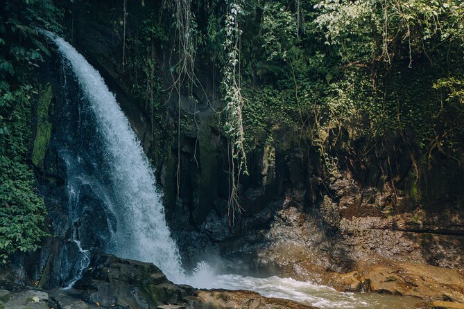 Bali Private Car Full Day Customized Tour With Drone Service - Kintamani Highland and Penglipuran: volcano views plus a carefully ordered village