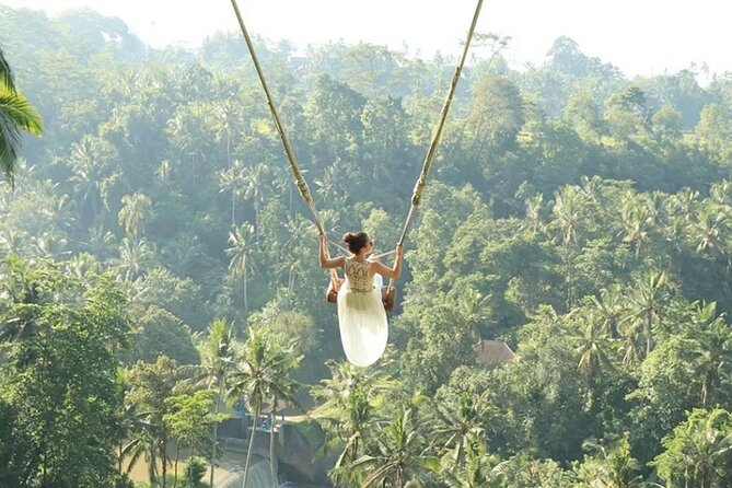 Bali Private Car Hire with English-Speaking Driver - Sacred Monkey Forest Sanctuary: macaques and temple sights