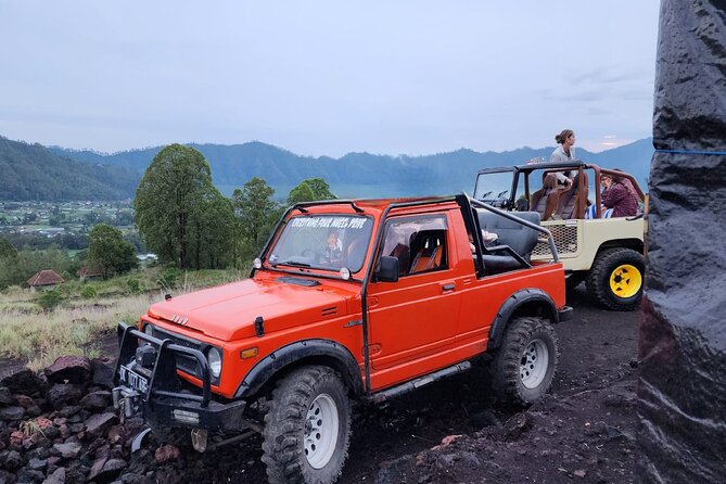 Bali Private Custom Tour - How to plan your best day with minimal stress