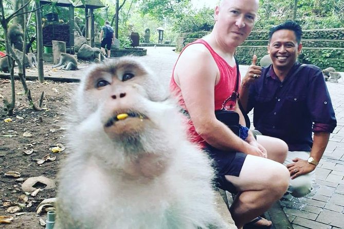 Bali Private Custom Tour - Bali Car Hire with Driver - Why a private driver matters on Bali roads