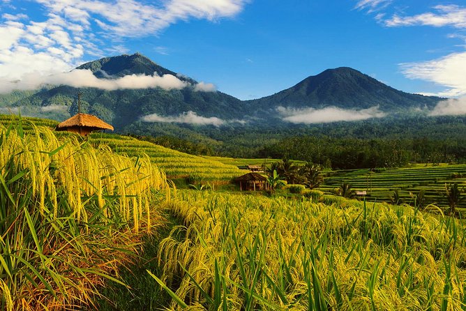 Bali Private Driver - Bali customized private tour - Key things to know